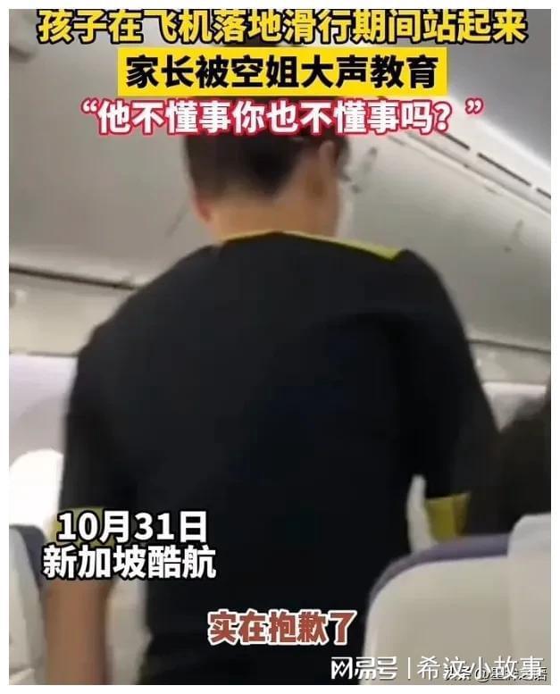 亿博(yibo)体育官网入口app新加坡空姐怒斥国内游客：她不懂事你也不懂事吗？(图3)