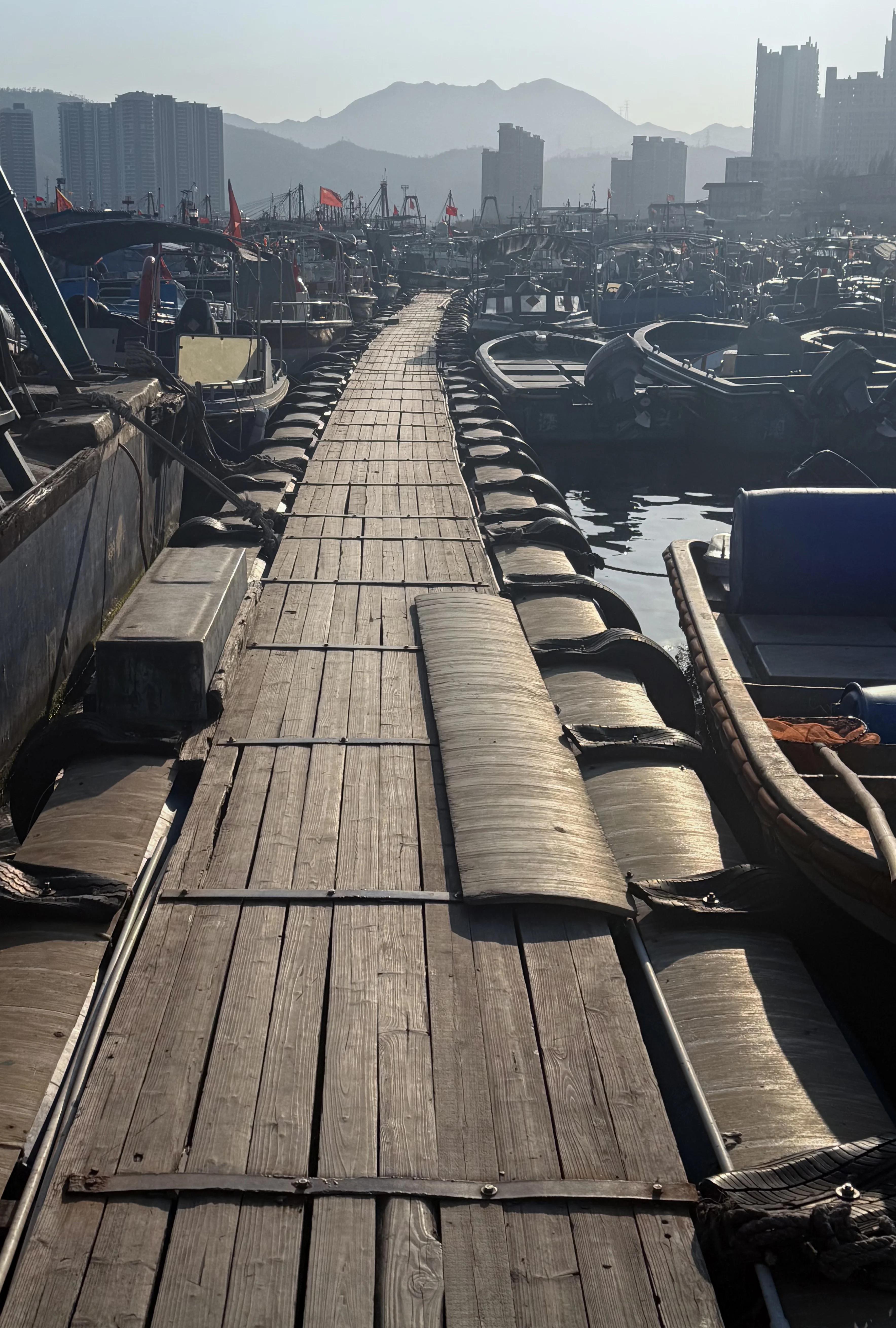 打鱼(打鱼提现24小时在线)